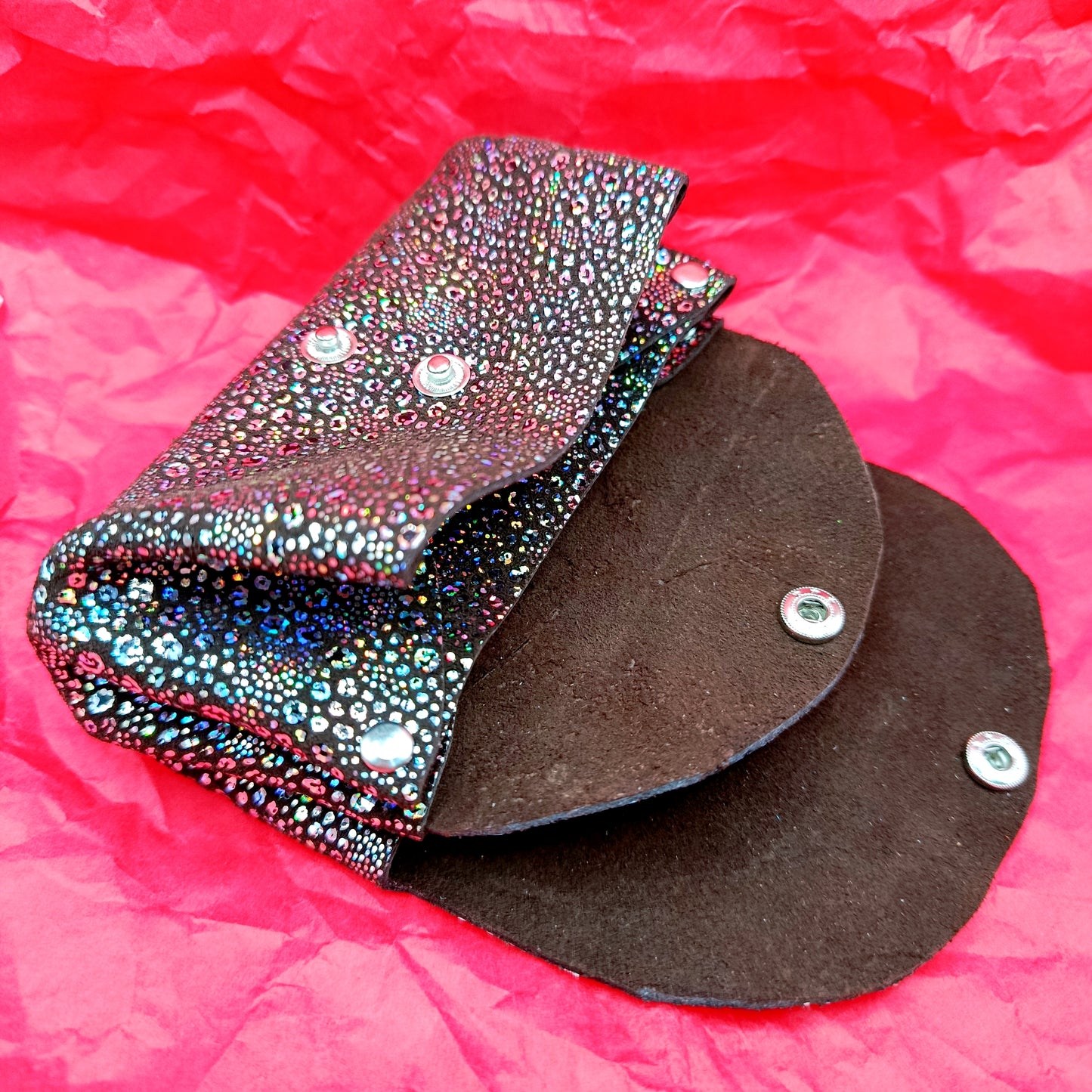 Le Compagnon Léopard