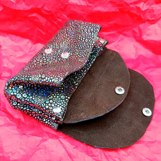 Le Compagnon Léopard